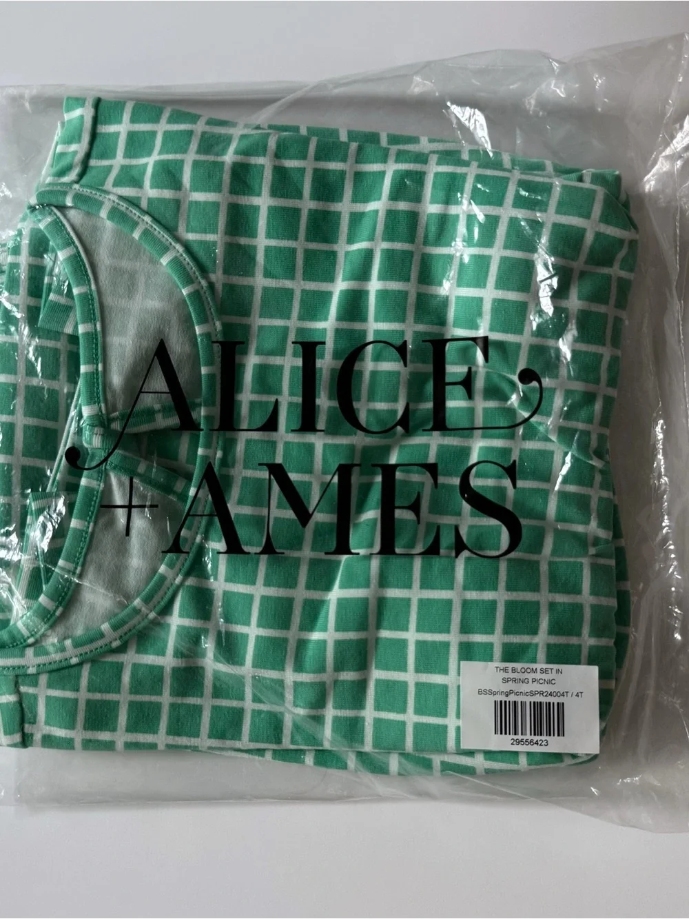 Alice and Ames Girl The Bloom Set in Spring Picnic 4T 5T 6 years 7 years NWOT
